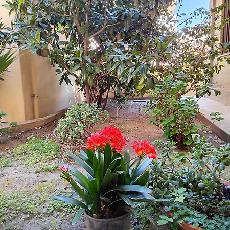 Apartman Cherie House Olbia